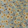 Cherry Blossom Floraison, Apricot on Sand