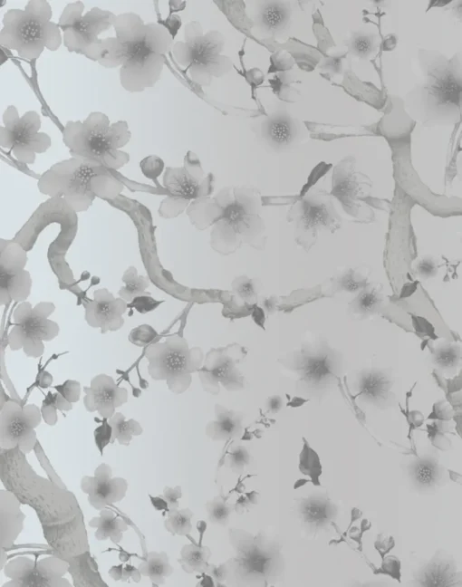 Cherry Blossom Floraison, Snow