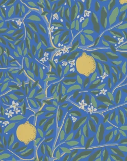 Citrus, Lapis Blue