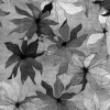 Clematis, Black and White