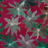 Clematis, Fuchsia