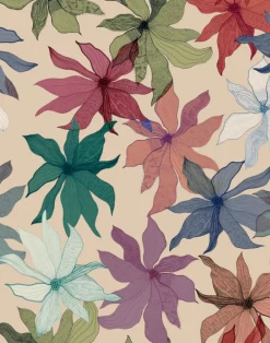 Clematis, Garden