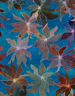 Clematis, Oceana