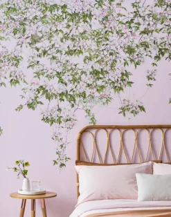 Clematis, Pink