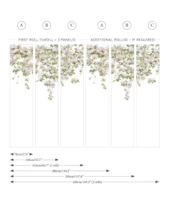 Clematis, White