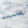 Cloud, Sky