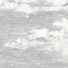 Clouds, Grey
