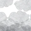 Cloudy