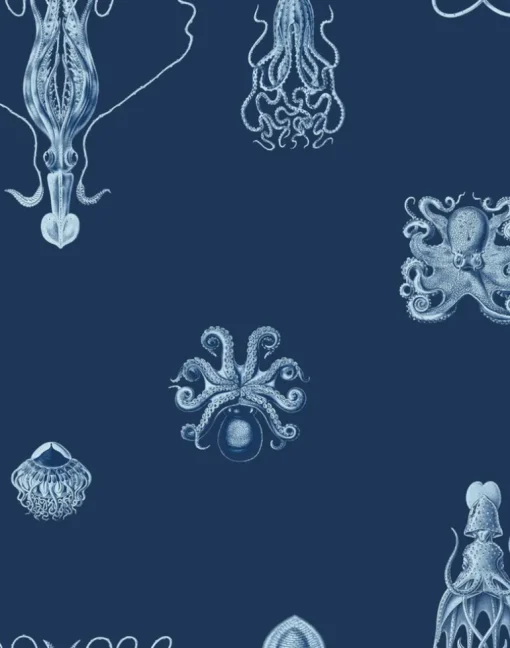 Consortium, Navy