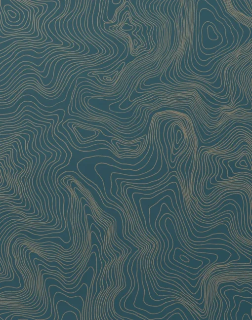 Contour, Gold on Blue