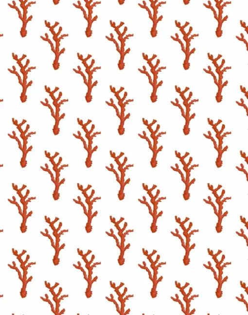 Coral Dash, Red