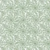 Coral Haze, Sage Green