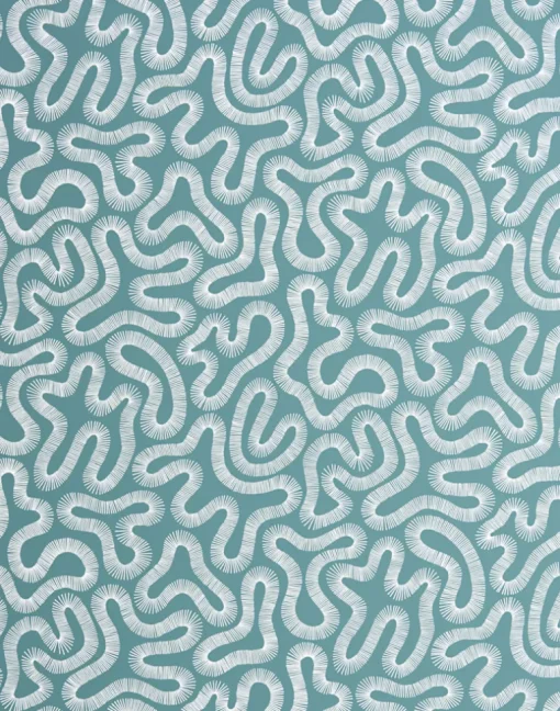 Coral, Teal