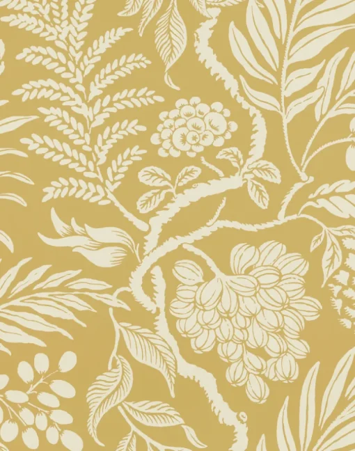 CORNUCOPIA, OCHRE