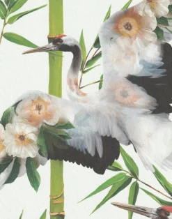 Cranes, White