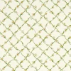 Daisy Trellis, Emerald Pearl