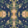 Damask No.2 007