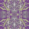 Damask No.2 016