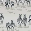 Dazzle, JTDA02