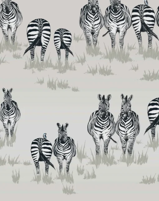 Dazzle, JTDA02