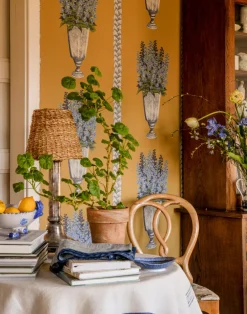 DELPHINIUM, Mustard