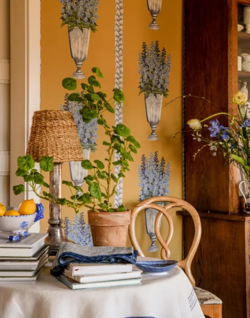 DELPHINIUM, Mustard