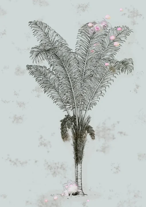 Desert Grove
