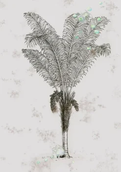 Desert Grove
