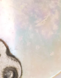 DRO-07 Obsession by Daniel Rozensztroch