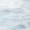 Dune, Ice