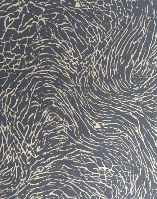 Elephant, Skin