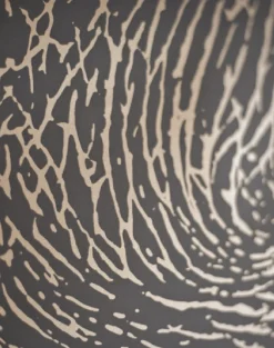 Elephant, Skin