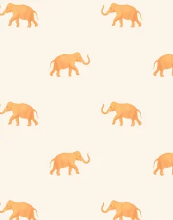 Eli, Orange on Cream