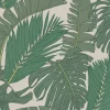 Exotic Paradise, Jungle