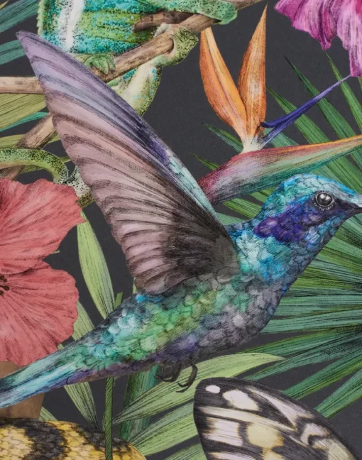 Exotica, Noir
