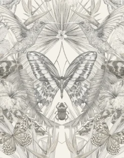 Exotica, Parchment