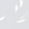 Falling Feather, Dove Grey
