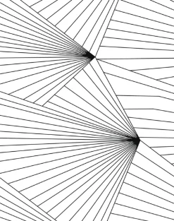 Fan, Black & White