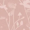 Feather Plant, Blush