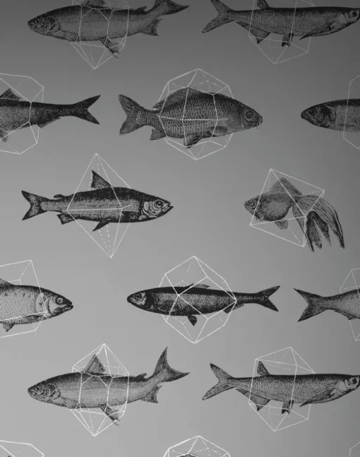 Fishes in Geometrics, Silver