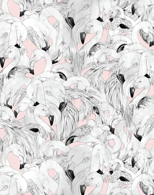 Flamingo, Pink