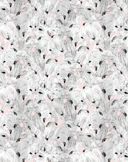 Flamingo, Pink