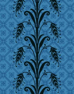 Fleur d’Ébène