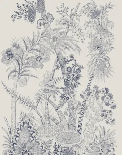 Flora, Marine