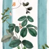 Florita Stripe, Blue