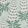 Foxglove, Jade