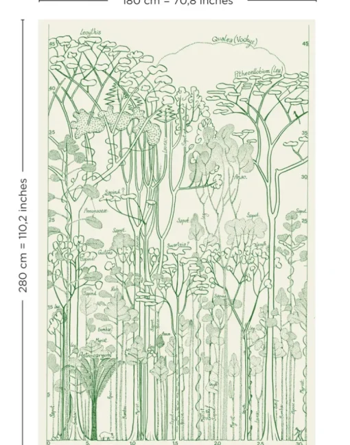 Francis Hallé, Chlorophylle