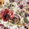 Fruits Blossom, Powder Dove