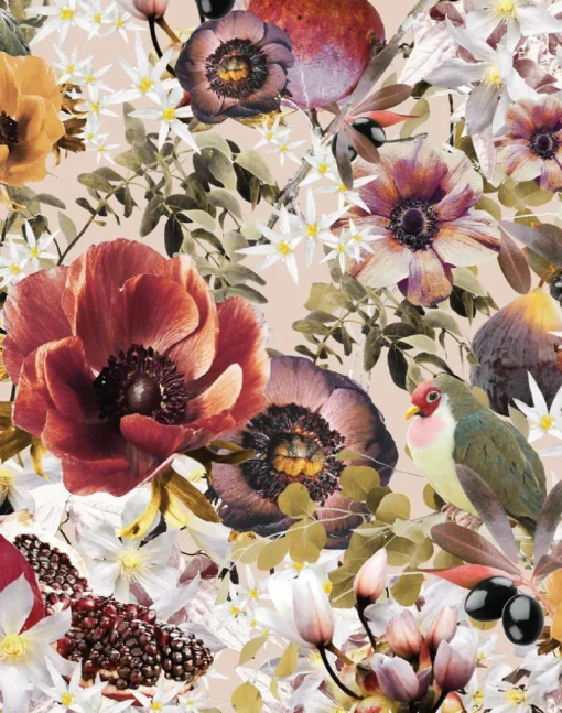 Fruits Blossom, Powder Dove