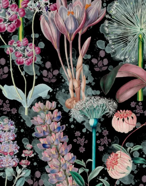 Garden of Eden